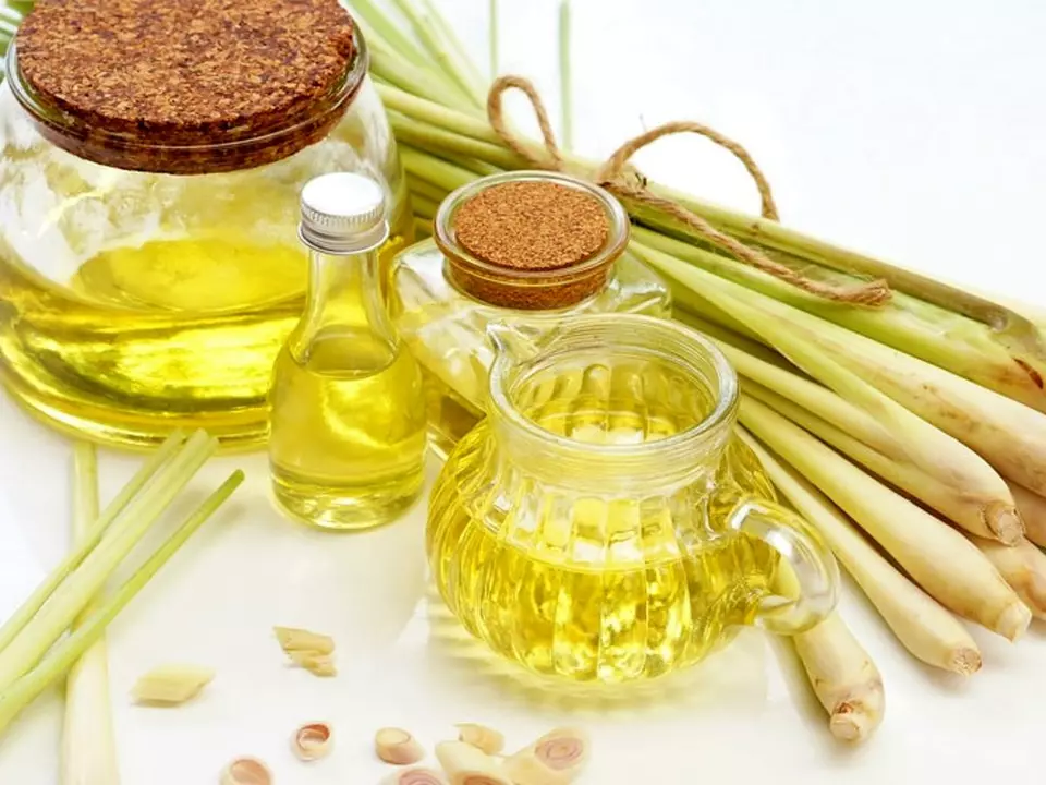 Discover the Surprising Health Benefits of Citronella Oil: The Ultimate Dietary Supplement