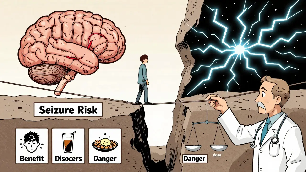 A person on a tightrope over a chasm labeled 'Seizure Risk', with warning icons below, illustrating bupropion dangers.